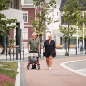 Topro Pegasus - Carbon Rollator - Afbeelding 8